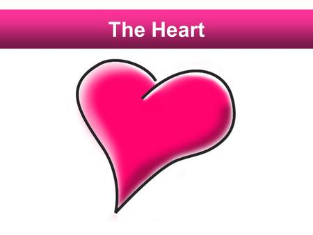 The Heart.
