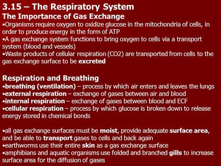 3.15 – The Respiratory System