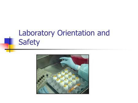 Laboratory Orientation and Safety. Prevention of physical injuries and laboratory acquired infections with zoonotic disease agents Laboratory safety is.