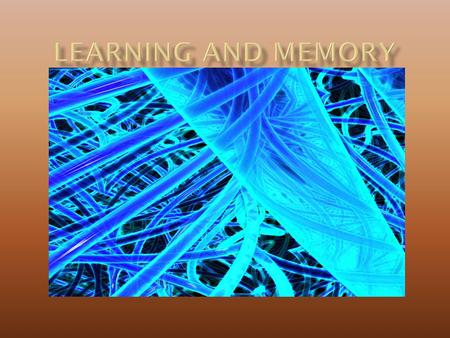 Learning and Memory.