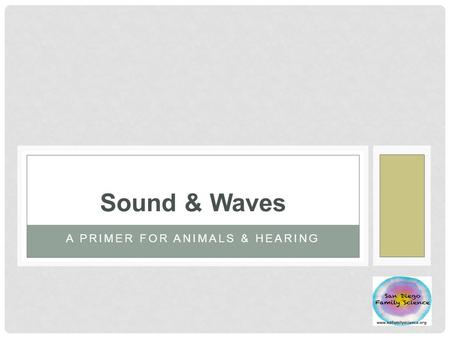 A PRIMER FOR ANIMALS & HEARING Sound & Waves. Sound is Vibration.