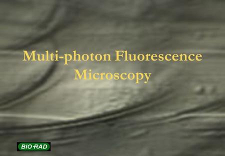 Multi-photon Fluorescence Microscopy. Topics Basic Principles of multi-photon imaging Laser systems Multi-photon instrumentation Fluorescence probes Applications.