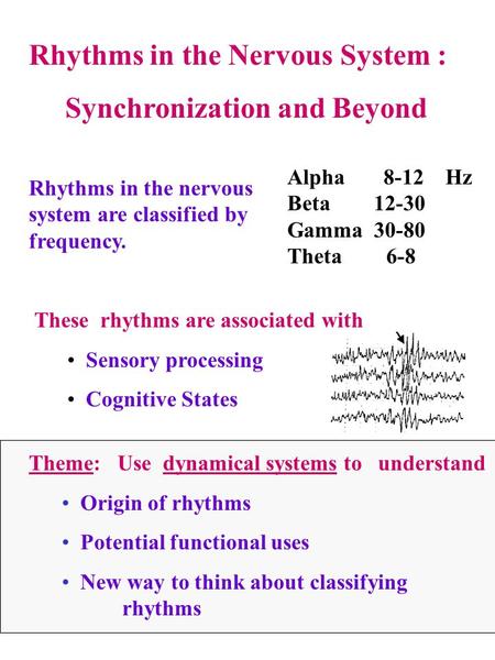 Rhythms in the Nervous System : Synchronization and Beyond Rhythms in the nervous system are classified by frequency. Alpha 8-12 Hz Beta 12-30 Gamma 30-80.