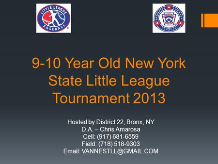9-10 Year Old New York State Little League Tournament 2013