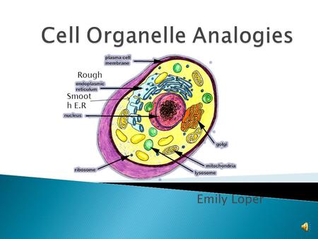 Cell Organelle Analogies