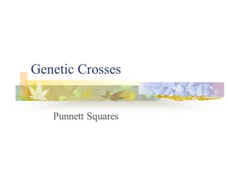Genetic Crosses Punnett Squares.