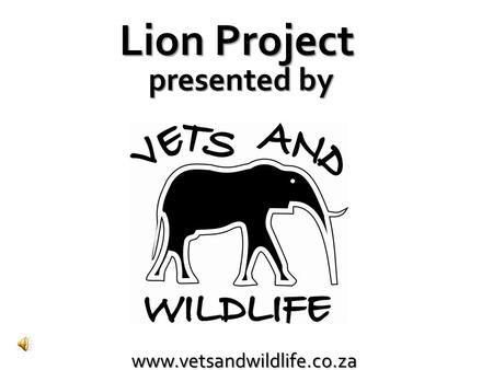 Www.vetsandwildlife.co.za Lion Project presented by.