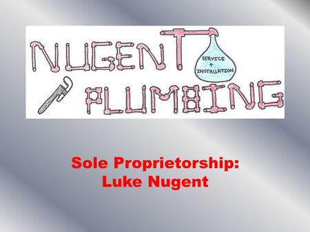 Sole Proprietorship: Luke Nugent. Business Description Products/Services Plumbing and Drain cleaning services Copper Pipe Instillation and Repair Faucets,