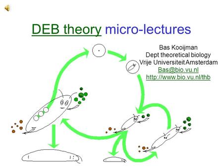 DEB theoryDEB theory micro-lectures Bas Kooijman Dept theoretical biology Vrije Universiteit Amsterdam