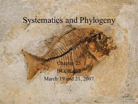 Systematics and Phylogeny Chapter 25 BCOR 012 March 19 and 21, 2007.