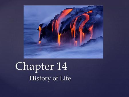 Chapter 14 History of Life.