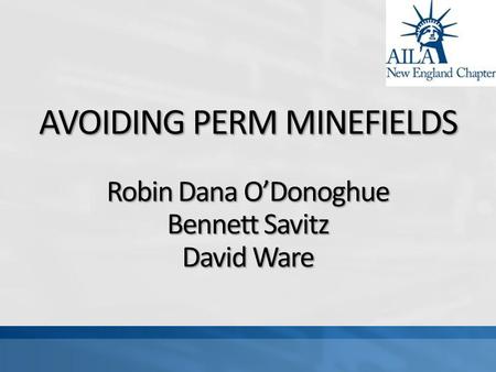 AVOIDING PERM MINEFIELDS Robin Dana ODonoghue Bennett Savitz David Ware.