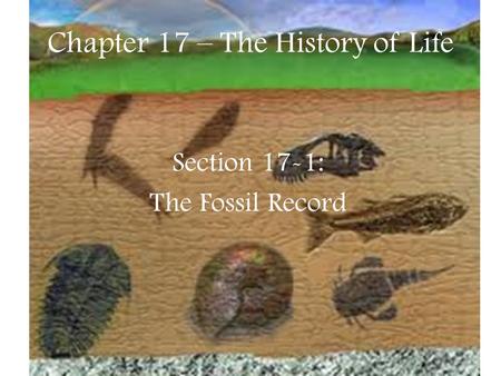 Chapter 17 – The History of Life