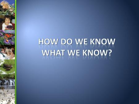 How Do We Know What We Know?