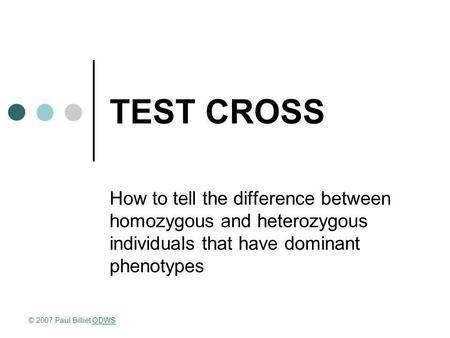 TEST CROSS How to tell the difference between homozygous and heterozygous individuals that have dominant phenotypes © 2007 Paul Billiet ODWSODWS.