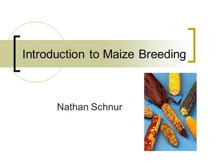 Introduction to Maize Breeding