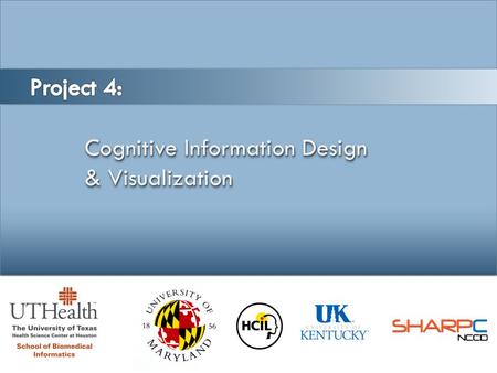 Cognitive Information Design & Visualization Cognitive Information Design & Visualization.