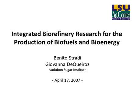 Integrated Biorefinery Research for the Production of Biofuels and Bioenergy Benito Stradi Giovanna DeQueiroz Audubon Sugar Institute - April 17, 2007.