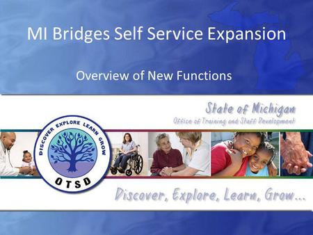 MI Bridges Self Service Expansion