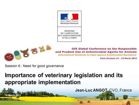 Session 6 : Need for good governance Importance of veterinary legislation and its appropriate implementation Jean-Luc ANGOT, CVO, France 14 March 2013.