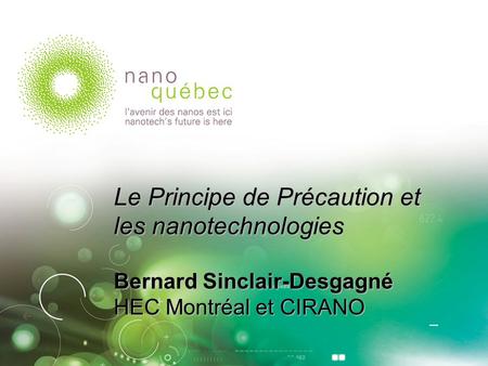 Le Principe de Précaution et les nanotechnologies Bernard Sinclair-Desgagné HEC Montréal et CIRANO.
