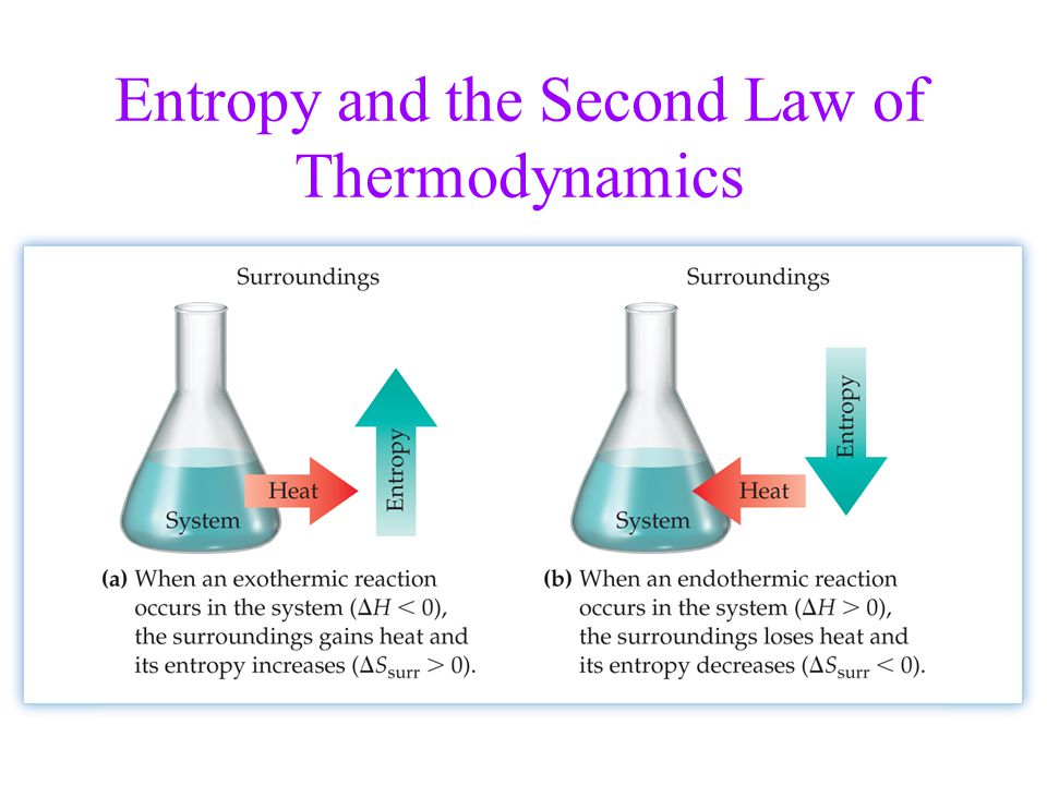 download numbers and functions from a classical experimental mathematicians point of view