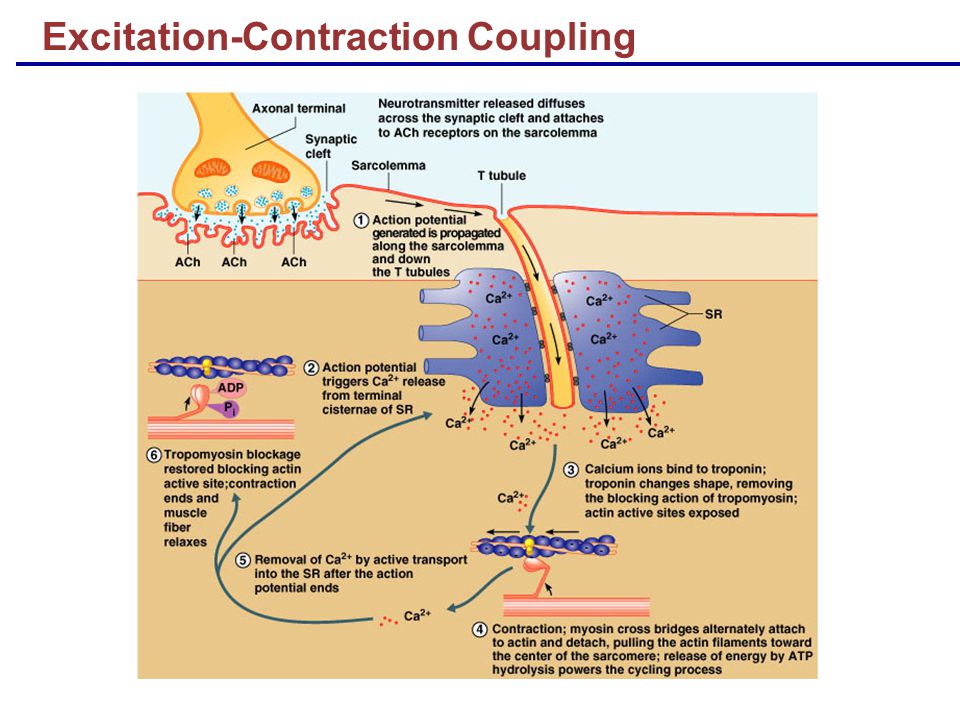 controlling amp