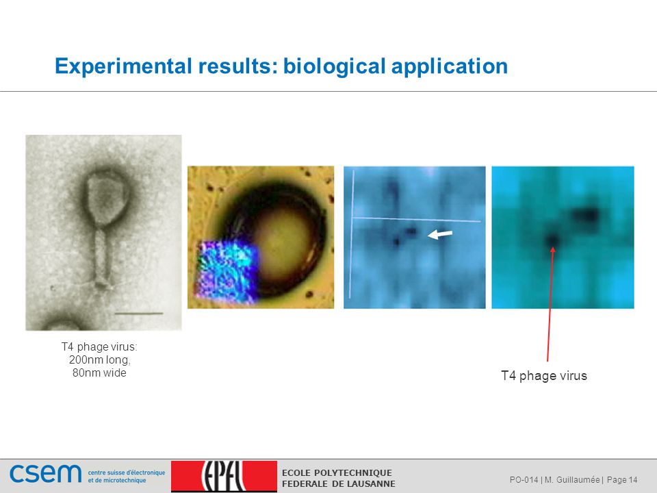 epub natural and laboratory simulated thermal geochemical