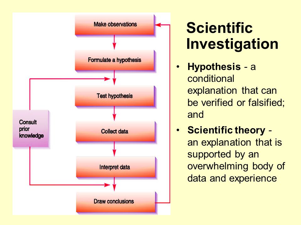 download clause structure