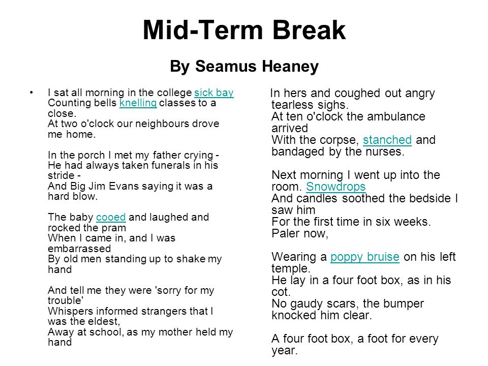mid term break seamus heaney