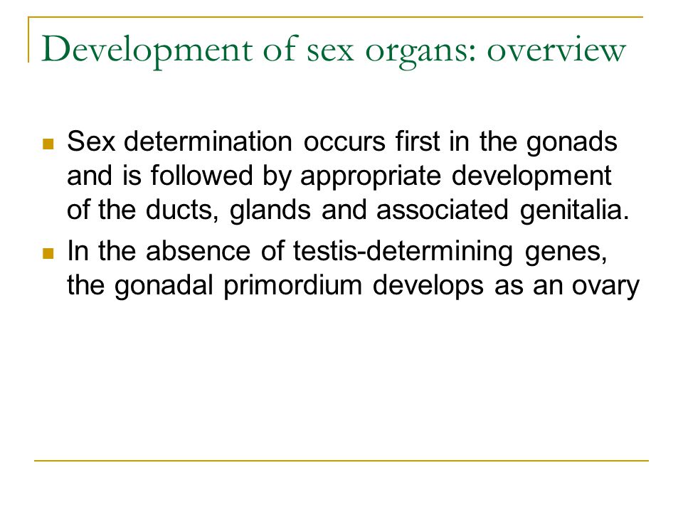 Development Of Sex Organs 79