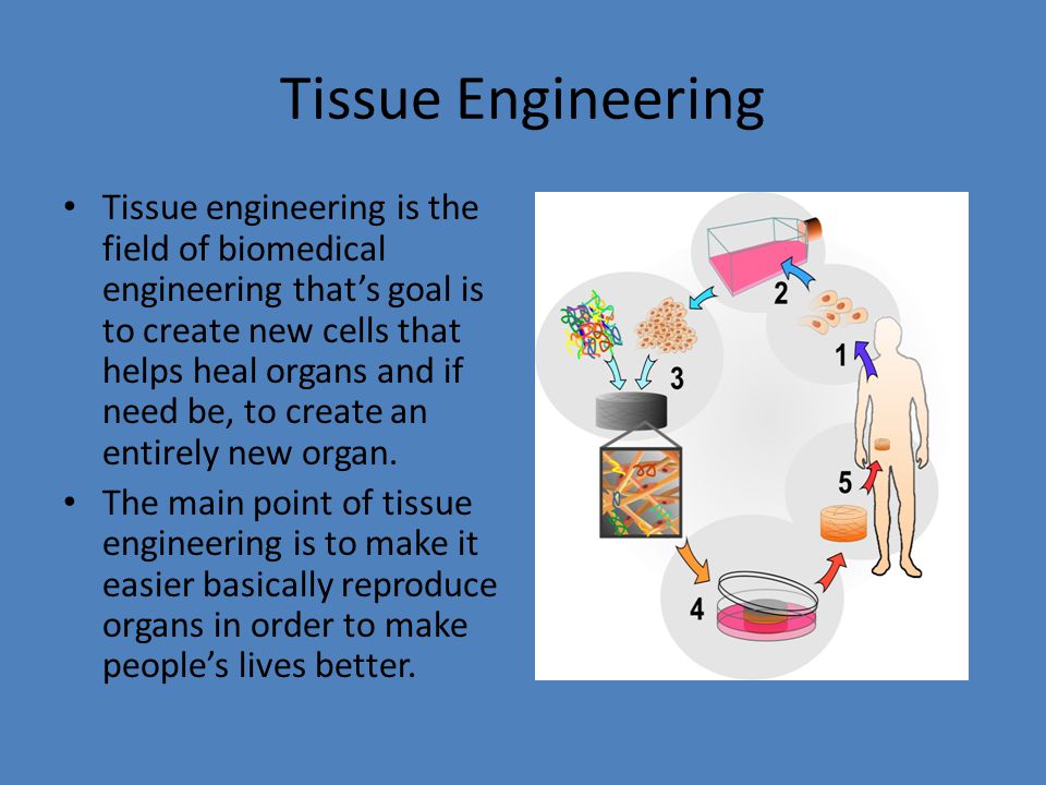 nuclear medicine technology study guide a technologists review for