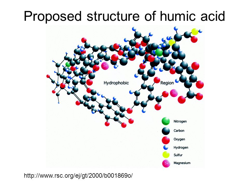 download functional approaches