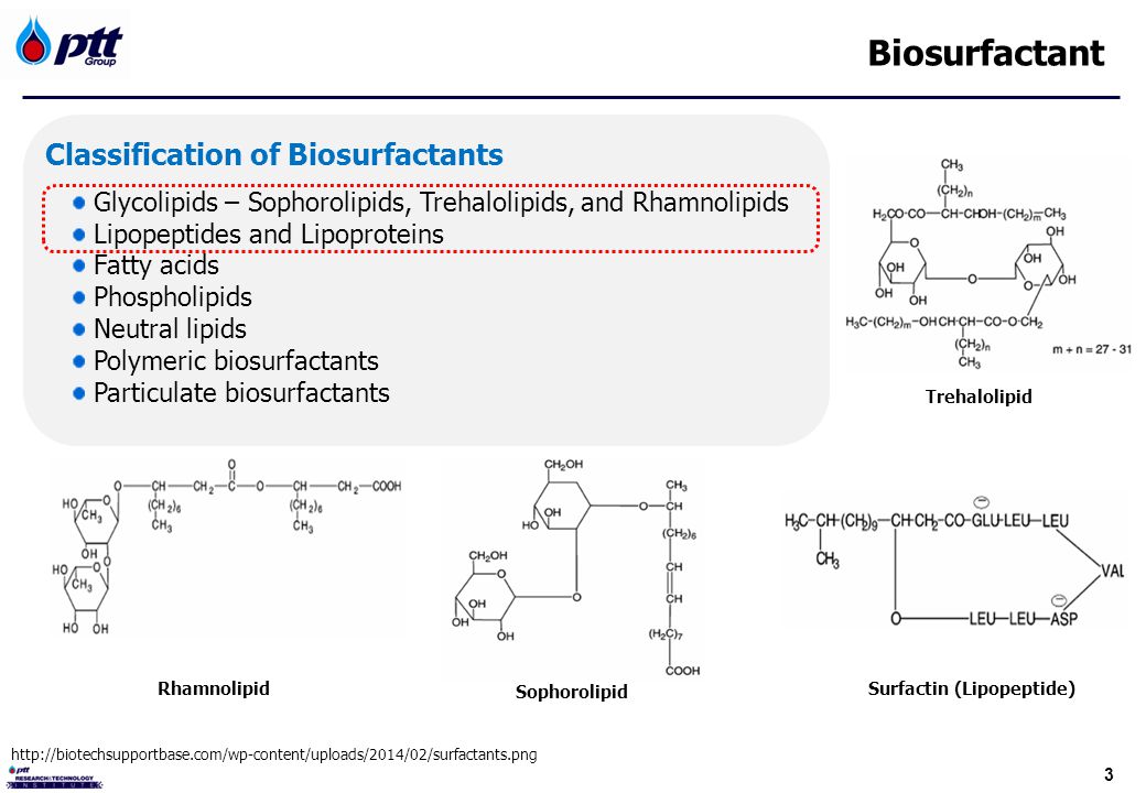 download social fuzziology study