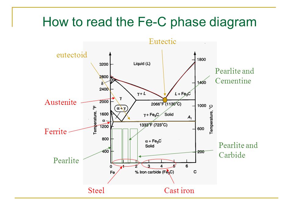 download the structure of