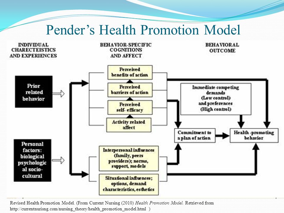 Image result for health promotion model