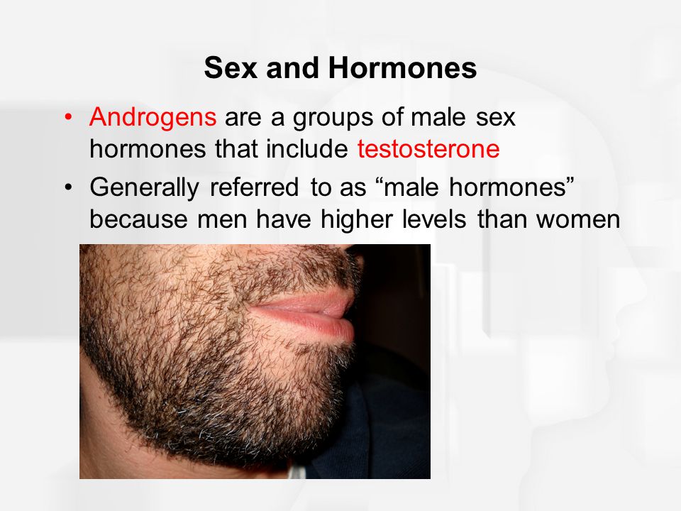 Male Sex Hormones Include High Levels Of 40