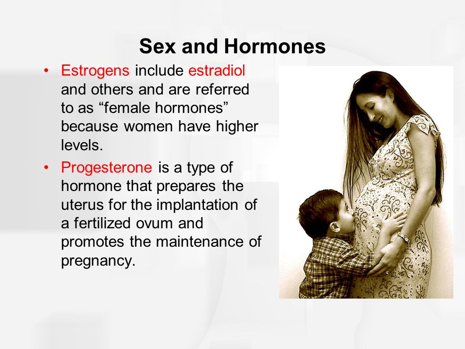 Male Sex Hormones Include High Levels Of 15