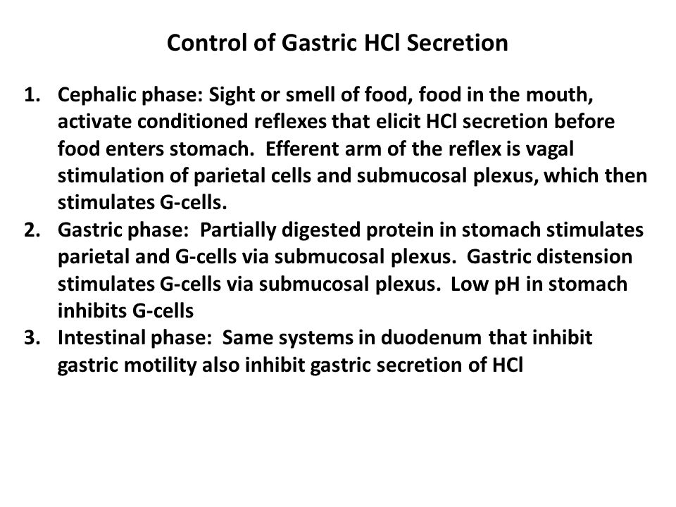 Control Of Gastric Motility Diet Pills