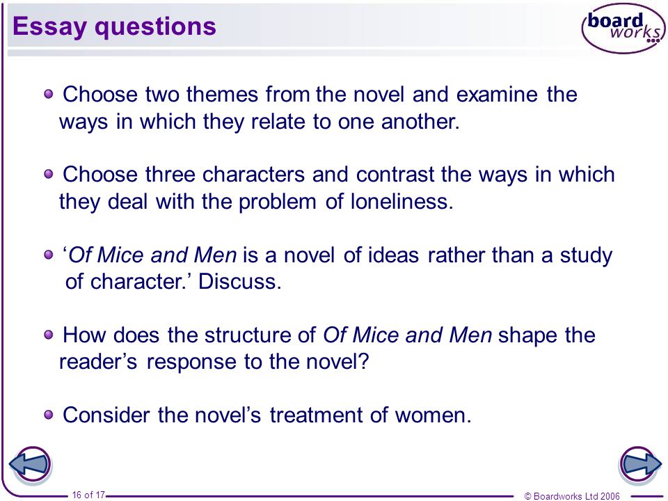 of mice and men loneliness essay plan