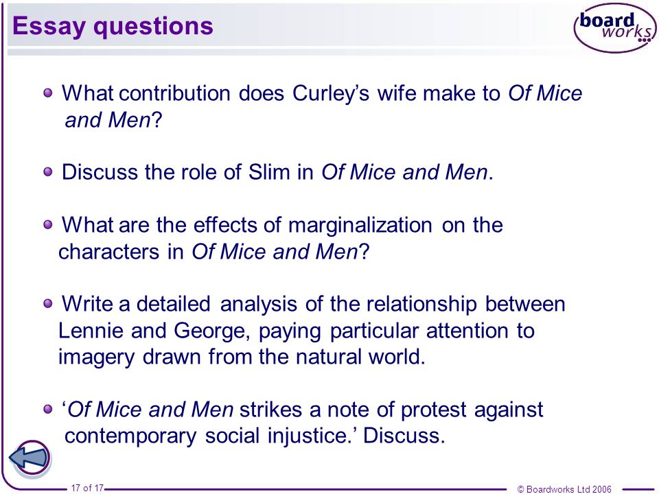 Of mice and men essay question