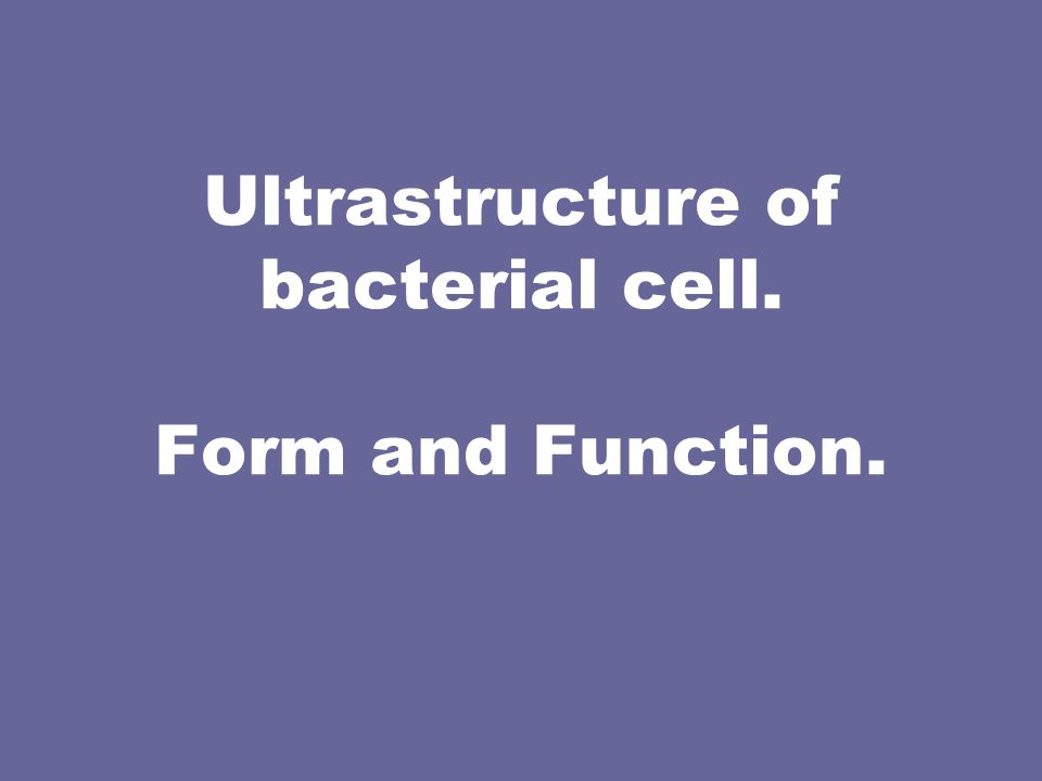 Bacterial Polysaccharides Pdf Bacterial Polysaccharides Pdf