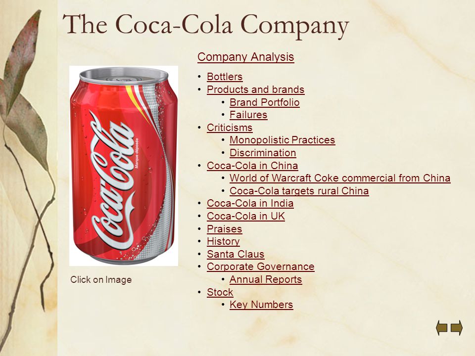 coca cola summary