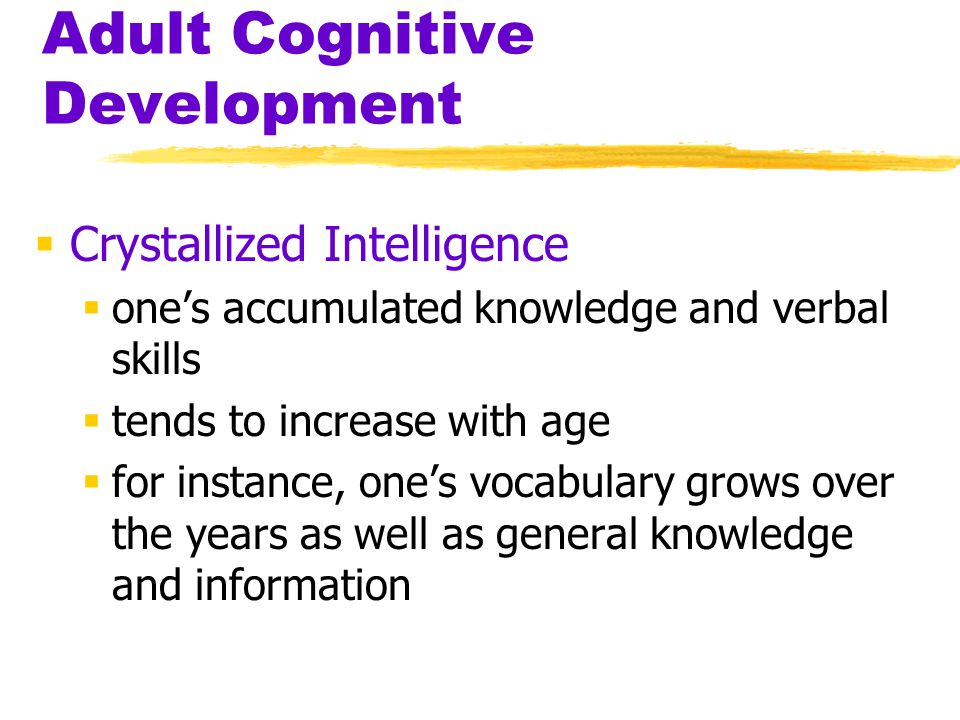 Adult Cognitive Development 2