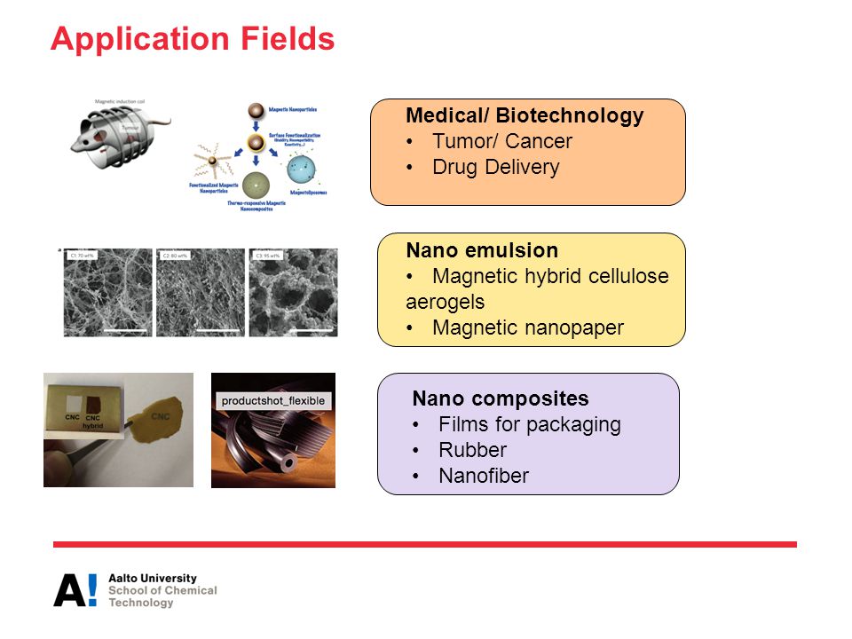 ebook papiroinsectos y