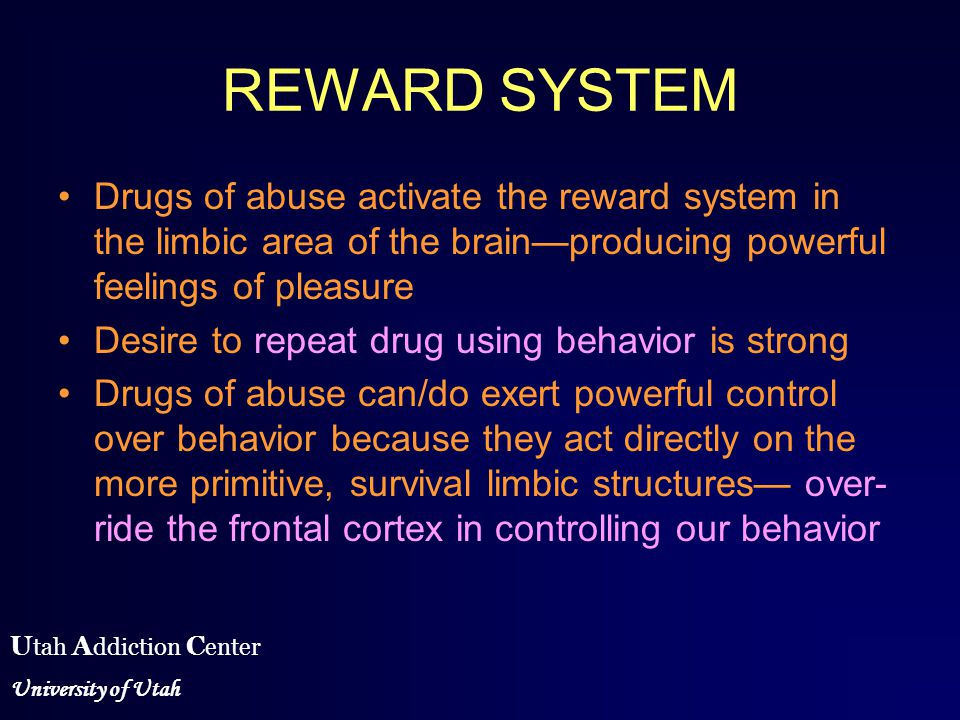 the pathways of mind a neural theory of mental processing mathematical principles