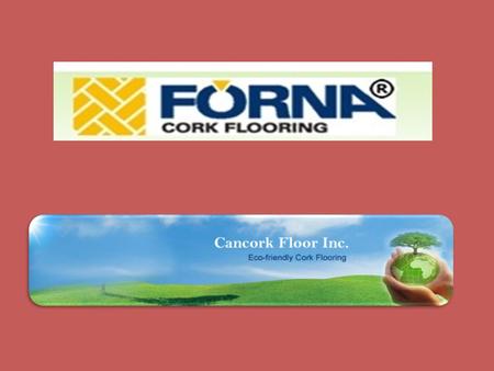 Find The Direct Distributor of Cork Floor Tiles