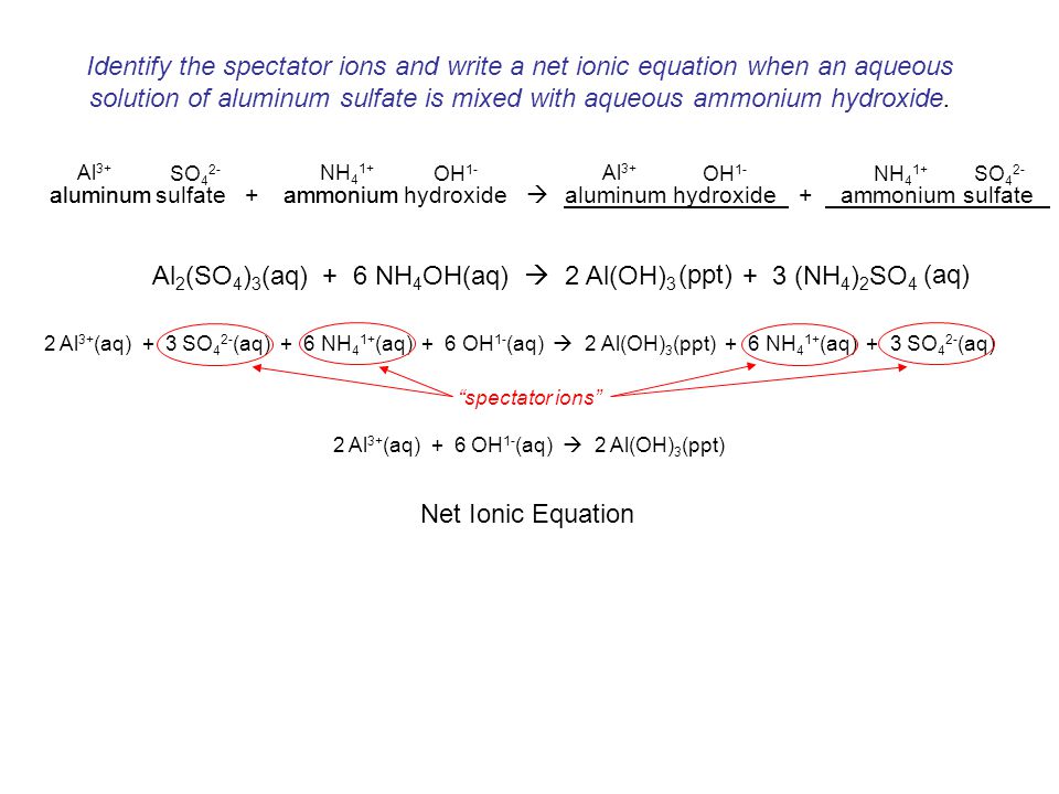 Double Displacement Lab Report by Nikeea Heston on Prezi