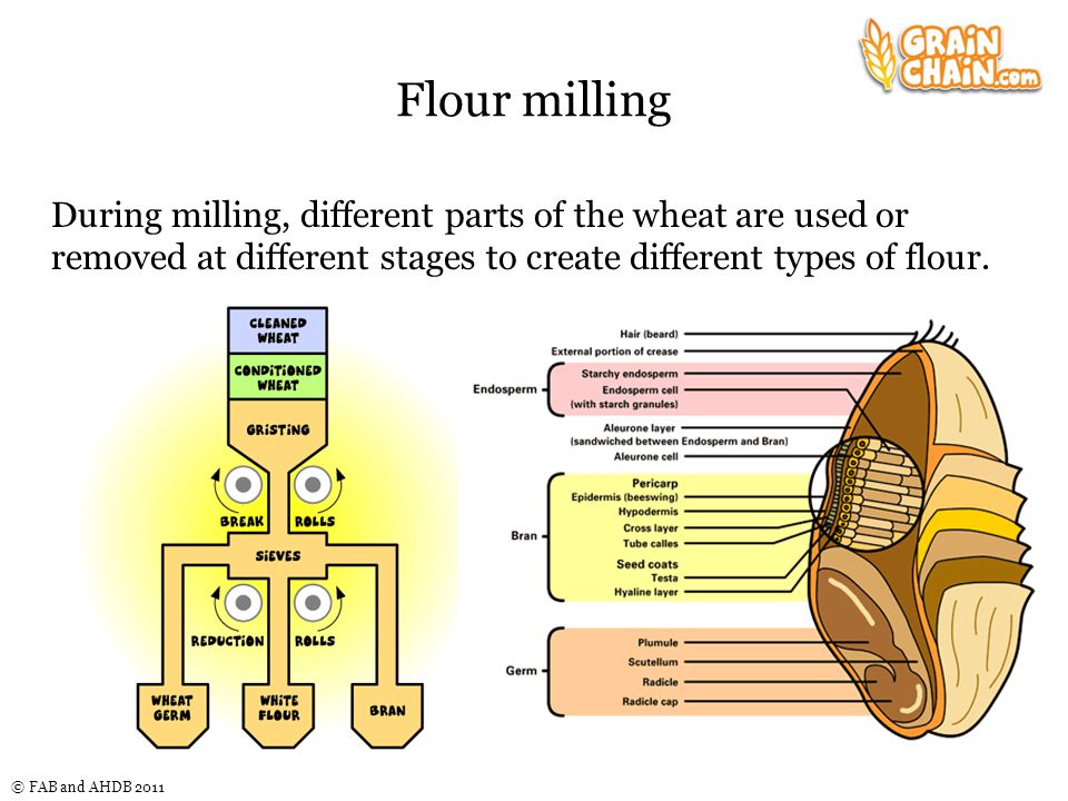 Rice Milling Process Flow Chart Pdf