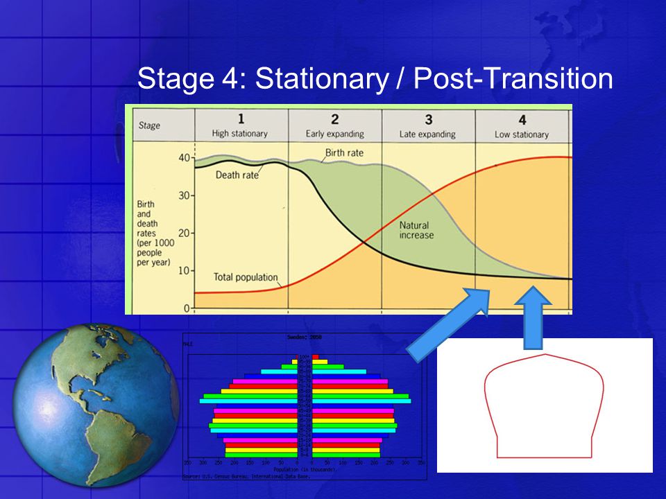 cultural translation in